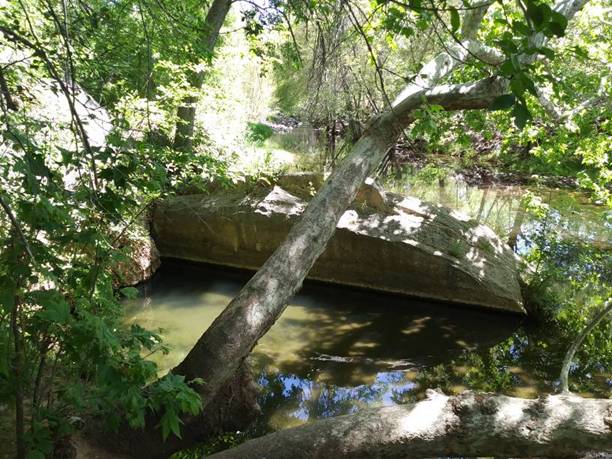 Montezuma's Well 3, Rimrock, AZ