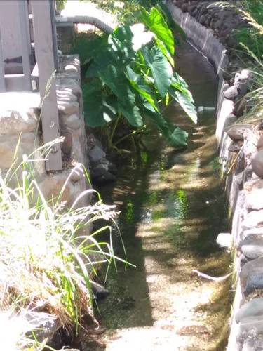 Page Springs Winery, Cornville, AZ