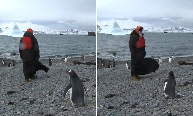 Pyramids - Kiril in Antarctica