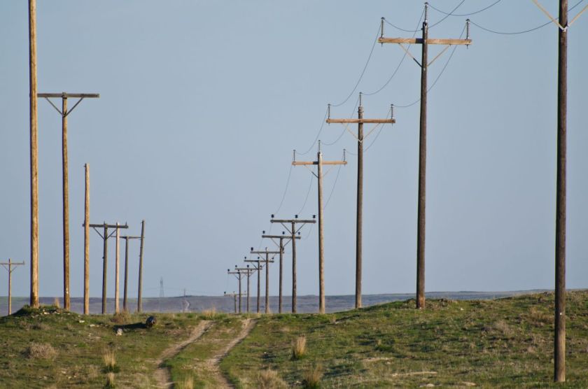 27726846 - utility poles standing in the desert