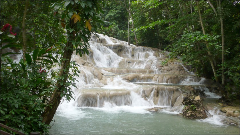 Dunn's River Falls, Jamaica 1