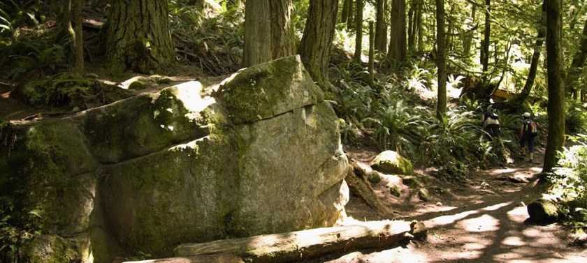 Twin Falls State Park, Washington