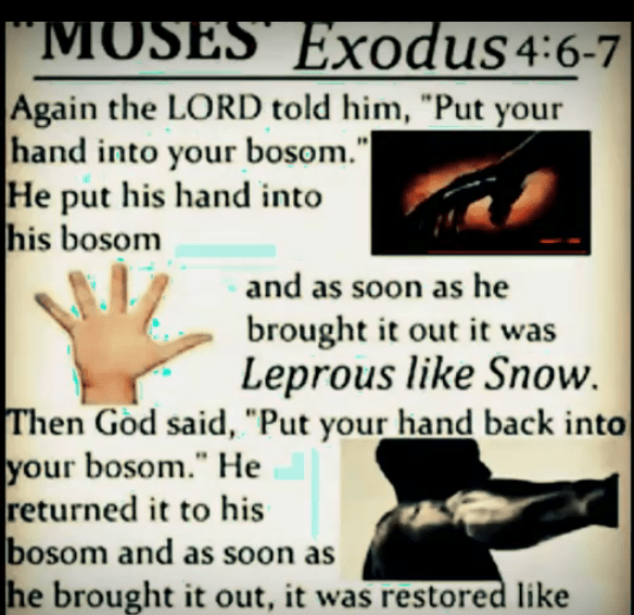 Exodus 4, 6