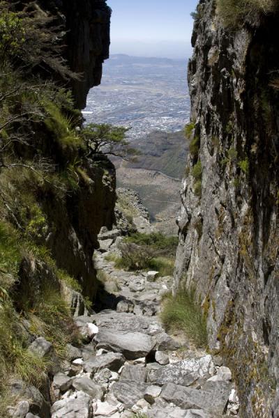 Cape Town - Table Mountain Platteklip Gorge