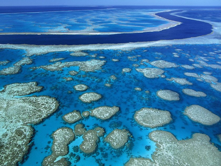 Great Barrier Reef river