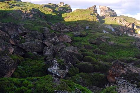 Kermadec Islands - Cheeseman Island
