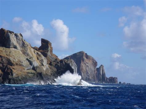 Kermadec Islands - Curtis Island