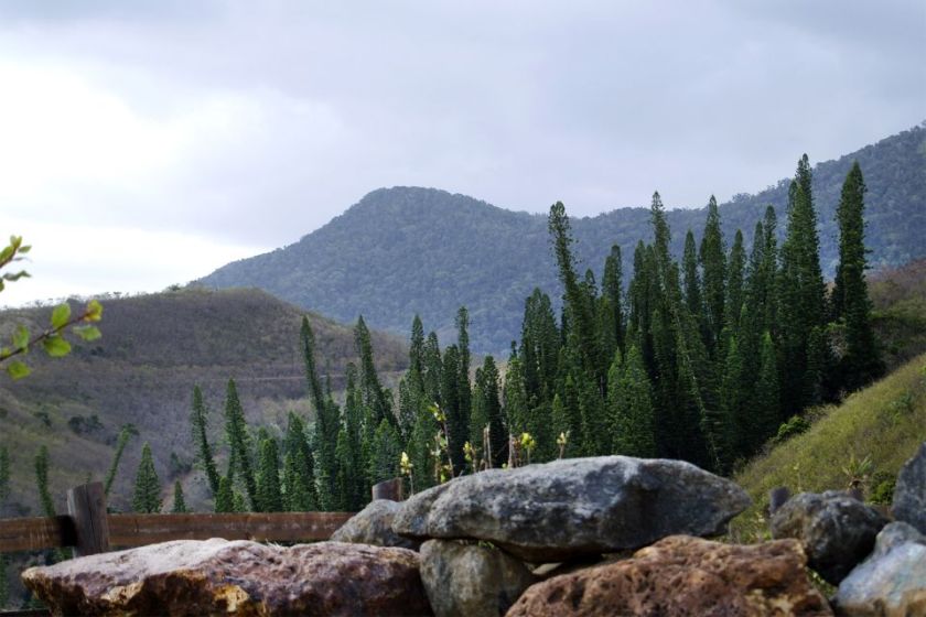 New Caledonia - Grande Terre 2