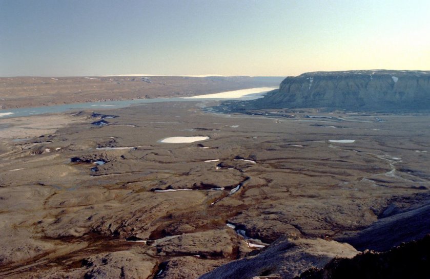 Greenland Peary land Bronlund Fjord