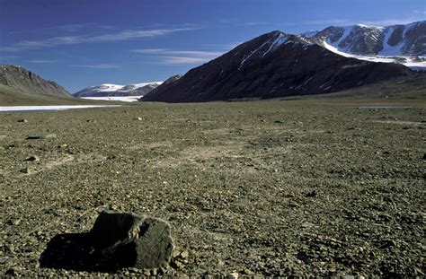 Greenland Peary Land northernmost tundra