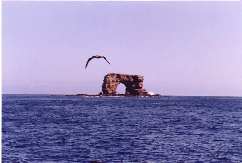 Revillagigedo Islands - Arch rock off of Isla Clarion