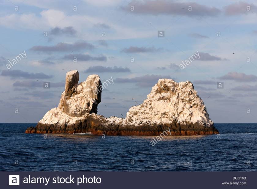 Revillagigedo Islands - Roca Partida