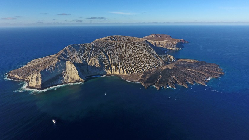 Revillagigedo Islands - San Benedicto