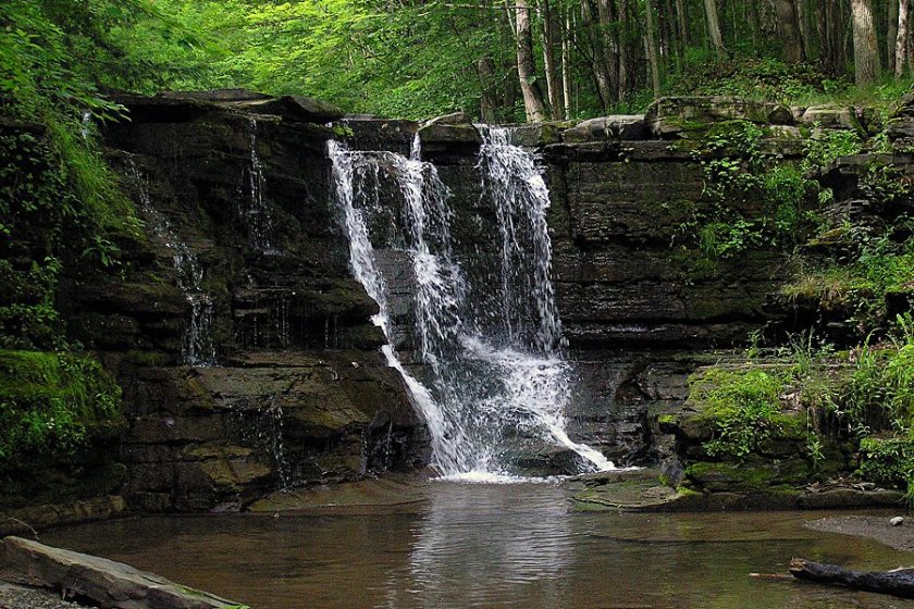 Twin Falls Seneca NY